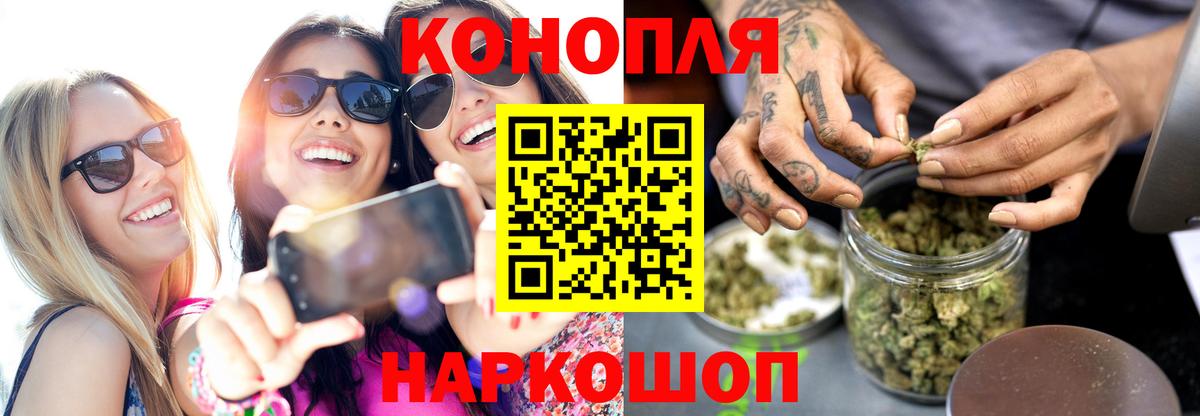 Бошки Шишки MAZAR Гай